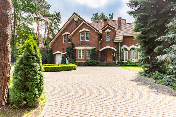 Best Local Driveway Pavers  in La Luz, NM